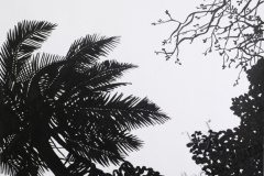 "Palm trees 2", March 2009, paper/acrylic